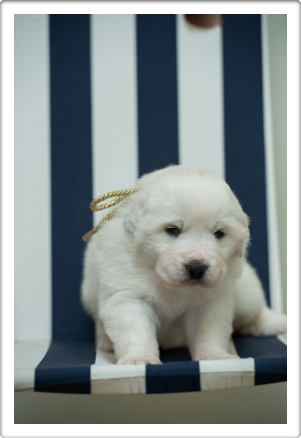 Capture One Session0386_1